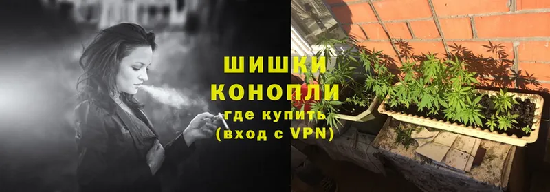 Конопля SATIVA & INDICA  Инта 